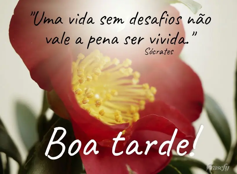 "Uma vida sem desafios não vale a pena ser vivida."  Boa tarde!  Sócrates