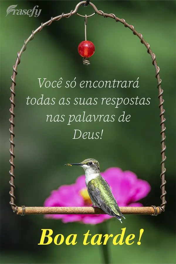 Você só encontrará todas as suas respostas nas palavras de Deus!  Boa tarde!
