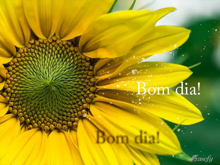 Bom dia!