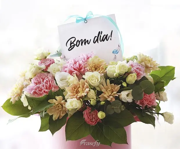 Bom dia!
