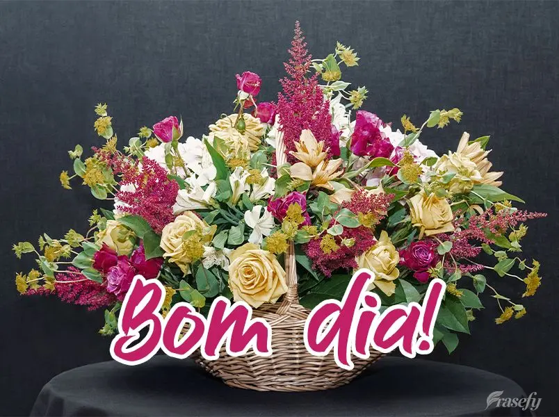 Bom dia!