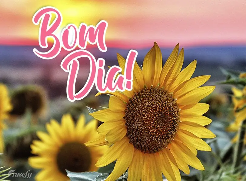Bom dia!