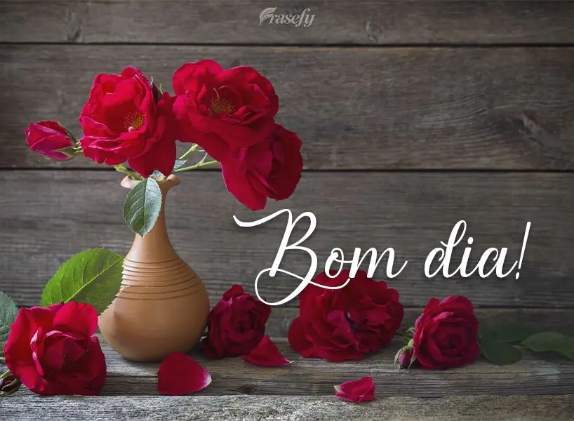 Bom dia!