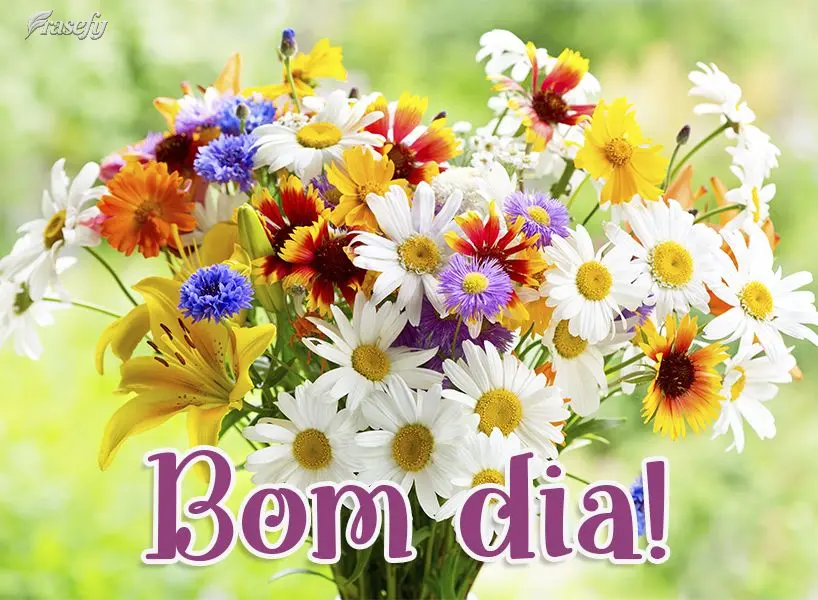 Bom dia!
