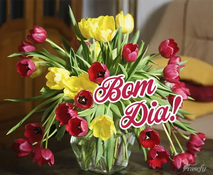 Bom dia!