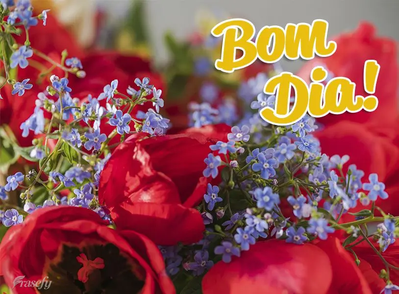 Bom dia!