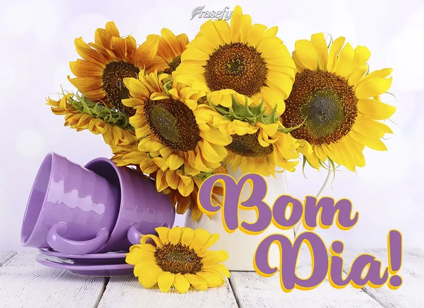Bom dia!