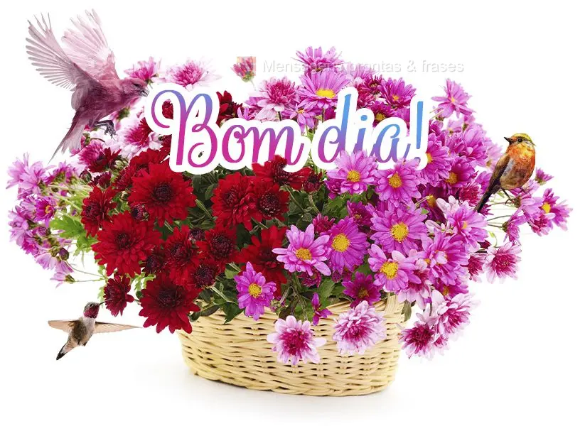 Bom dia!
