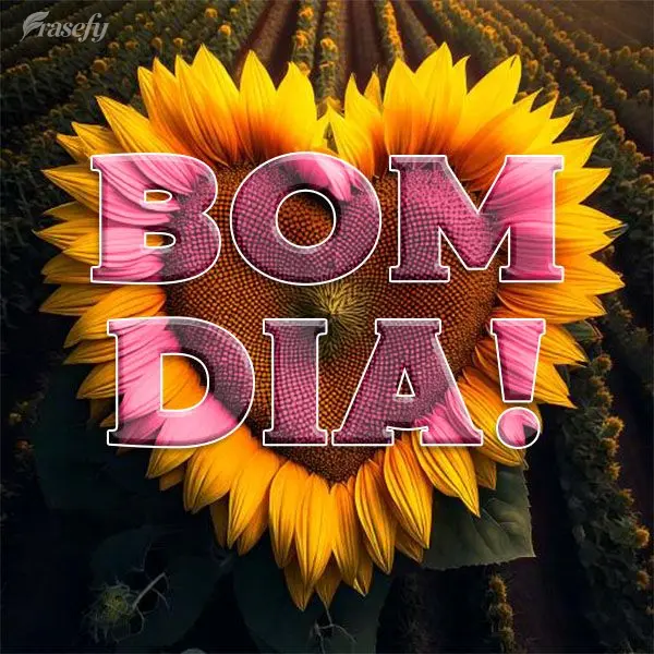 Bom dia!