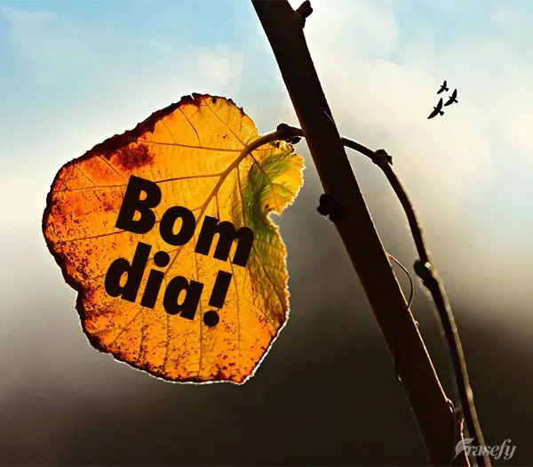 Bom dia! 