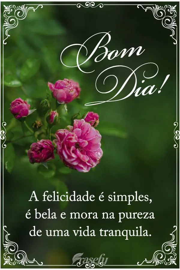 A felicidade é simples, é bela e mora na pureza de uma vida tranquila. Bom dia! 