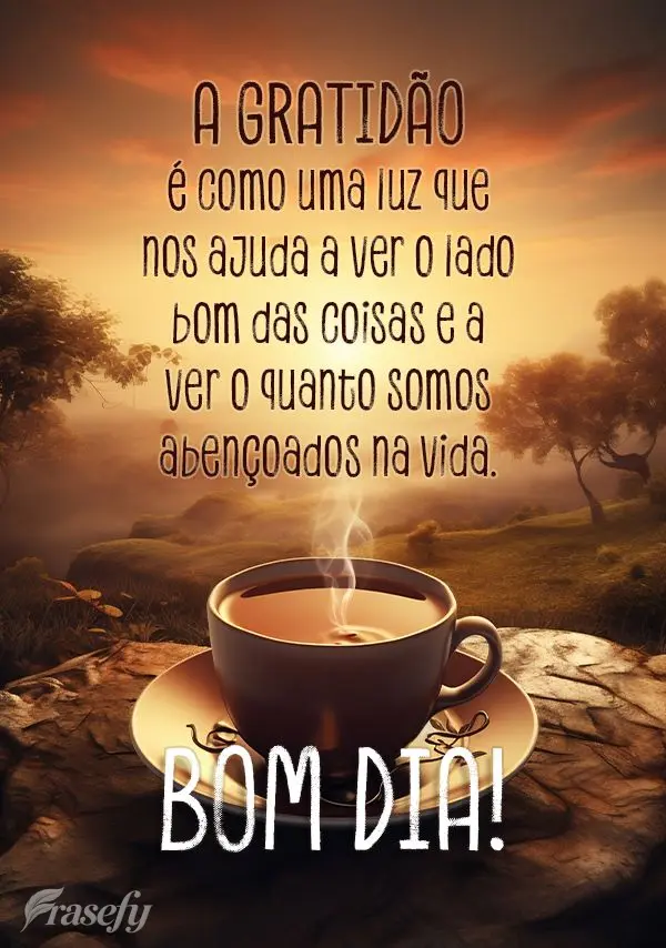 A gratidão é como uma luz que nos ajuda a ver o lado bom das coisas e a ver o quanto somos abençoados na vida. Bom dia!