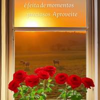A luz do sol que entra pela janela é um lembrete de que a vida é feita de momentos preciosos. Aproveite cada instante do seu dia e não se esqueça de ...
