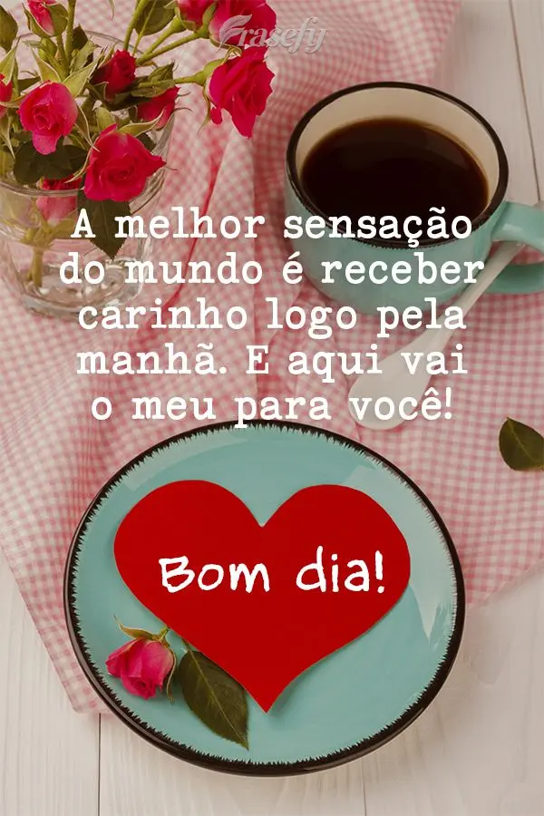 A melhor sensação do mundo é receber carinho logo pela manhã. E aqui vai o meu para você! Bom dia!