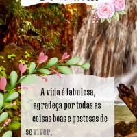 A vida é fabulosa, agradeça por todas as coisas boas e gostosas de se viver, ser feliz é viver inteiramente grato! Bom dia! 