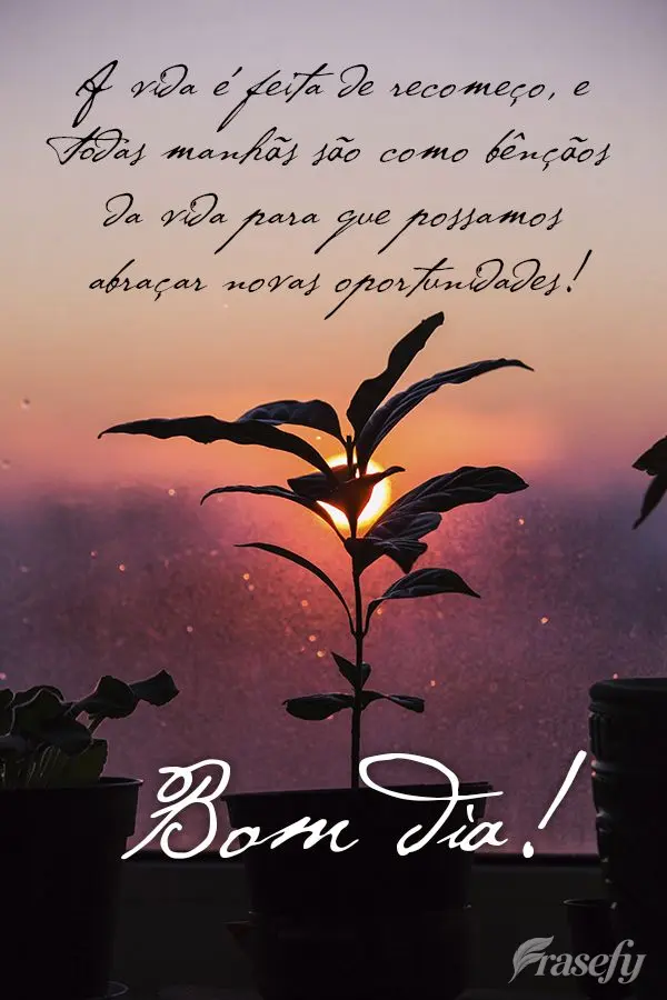 A vida é feita de recomeço, e todas manhãs bênçãos da vida para que possamos abraçar novas oportunidades! Bom dia!
