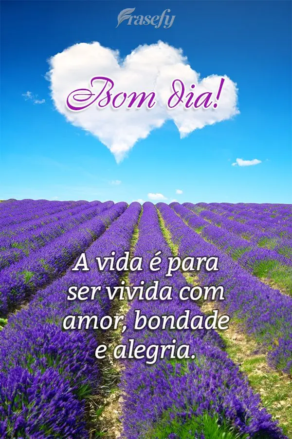 A vida é para ser vivida com amor, bondade e alegria. Bom dia!