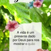A vida é um presente dado por Deus para nos mostrar o quão grande é o seu amor por nós! Bom dia! 