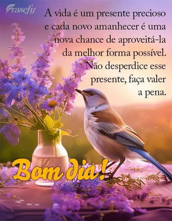 A vida é um presente precioso e cada novo amanhecer é uma nova chance de aproveitá-la da melhor forma possível. Não desperdice esse presente, faça ...