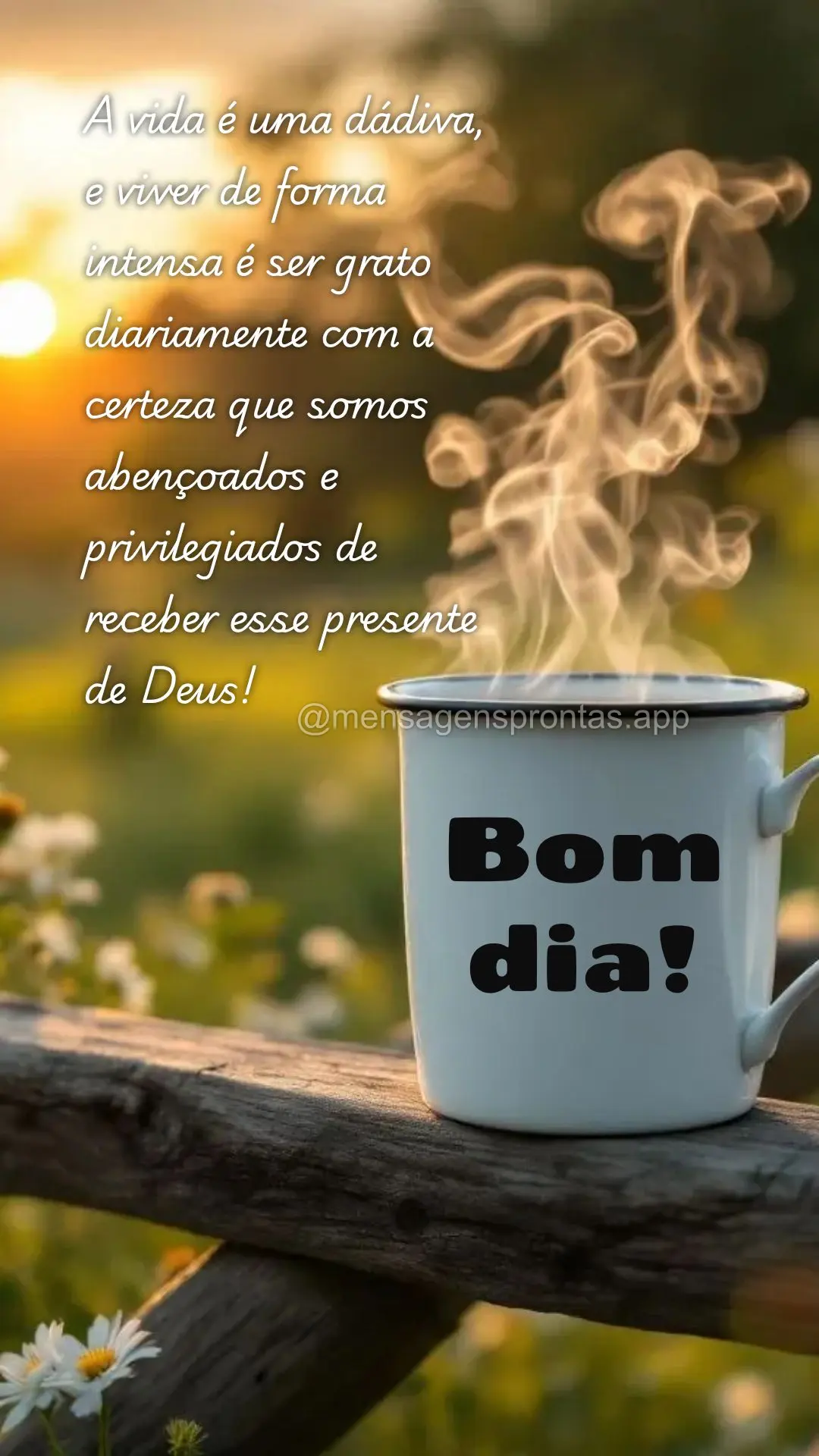 A vida é uma dádiva, e viver de forma intensa é ser grato diariamente com a certeza que somos abençoados e privilegiados de receber esse presente de ...
