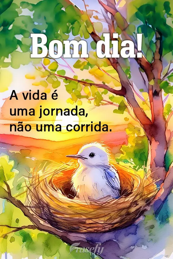 A vida é uma jornada, não uma corrida. Bom dia!