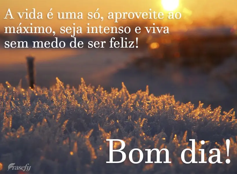 A vida é uma só, aproveite ao máximo, seja intenso e viva sem medo de ser feliz! Bom dia! 