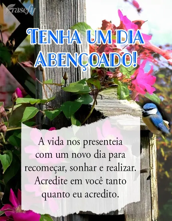 A vida nos presenteia com um novo dia para recomeçar, sonhar e realizar. Acredite em você tanto quanto eu acredito. Tenha um dia abençoado!