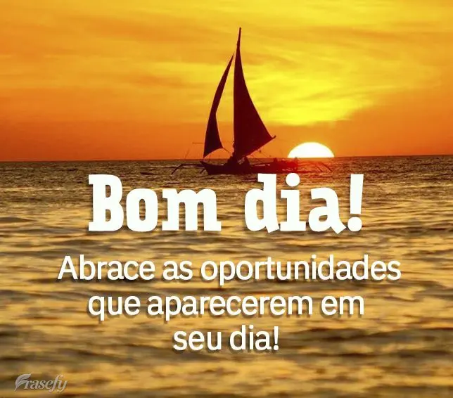 Abrace as oportunidades que aparecerem em seu dia! Bom dia! 