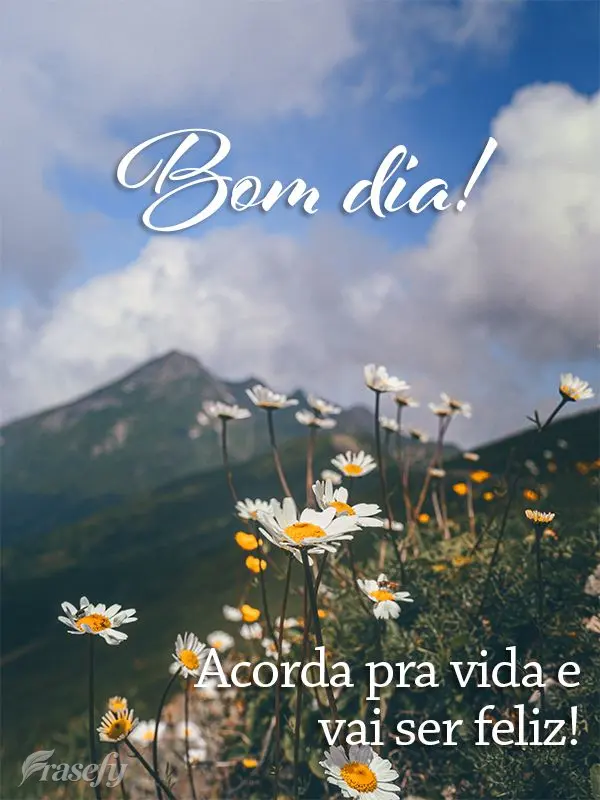 Acorda pra vida e vai ser feliz! Bom dia!