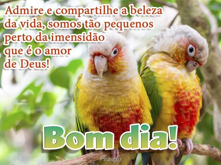 Admire e compartilhe a beleza da vida, somos tão pequenos perto da imensidão que é o amor de Deus! Bom dia!
