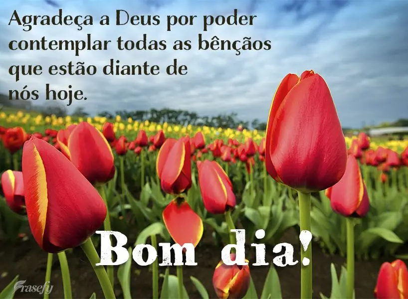 Agradeça a Deus por poder contemplar todas as bênçãos que estão diante de nós hoje. Bom dia!