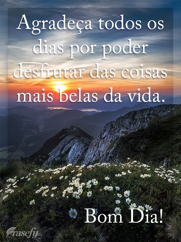 Agradeça todos os dias por poder desfrutar das coisas mais belas da vida.  Bom Dia!