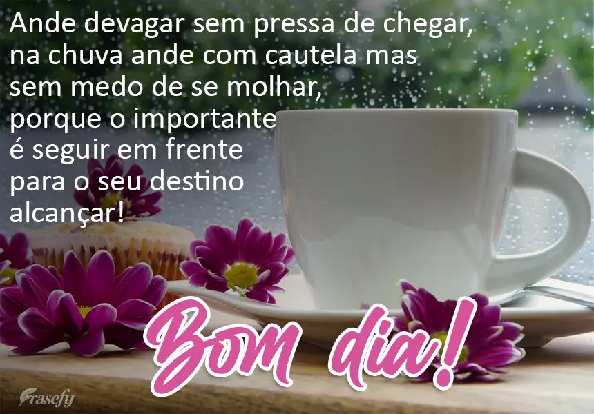 Ande devagar, sem pressa de chegar. Na chuva ande com cautela mas sem medo de se molhar. Porque o importante é seguir em frente para o seu destino alcan...