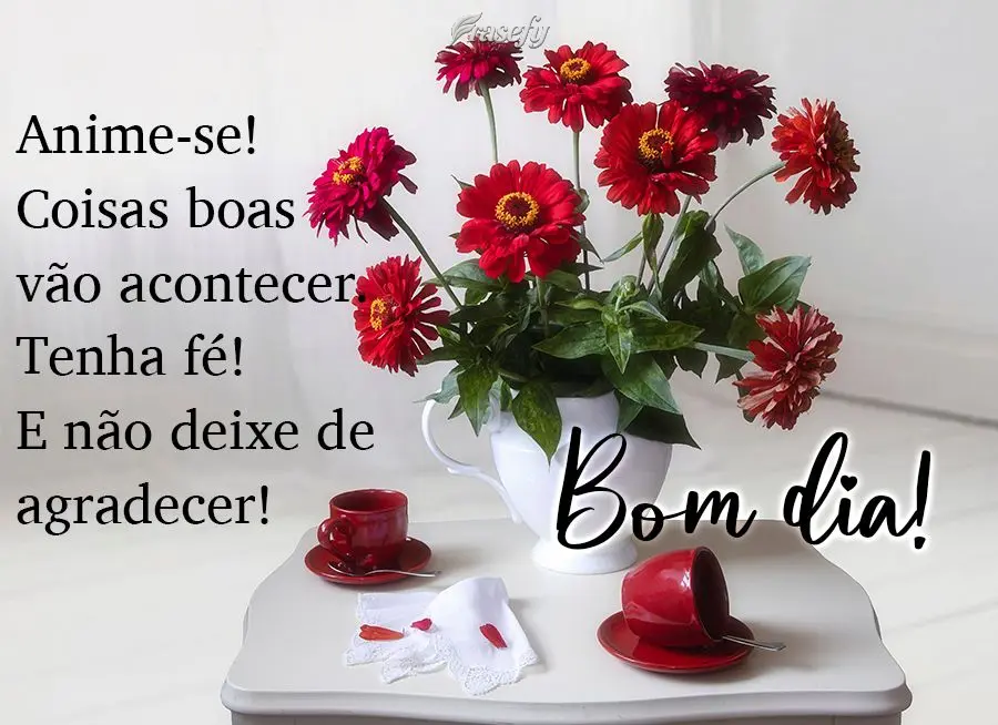 Anime-se! Coisas boas vão acontecer. Tenha fé! E não deixe de agradecer! Bom dia!
