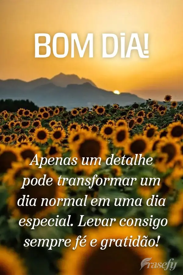 Apenas um detalhe pode transformar um dia normal em uma dia especial. Levar consigo sempre fé e gratidão! Bom dia!