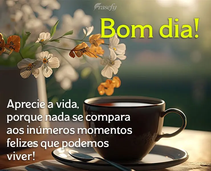 Aprecie a vida, porque nada se compara aos inúmeros momentos felizes que podemos viver! Bom dia!