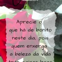 Aprecie o que há de bonito neste dia, pois quem enxerga a beleza da vida trás coisas boas para o coração. Bom dia!