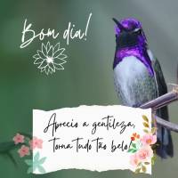 Aprecio a gentileza, torna tudo tão belo! Bom dia!