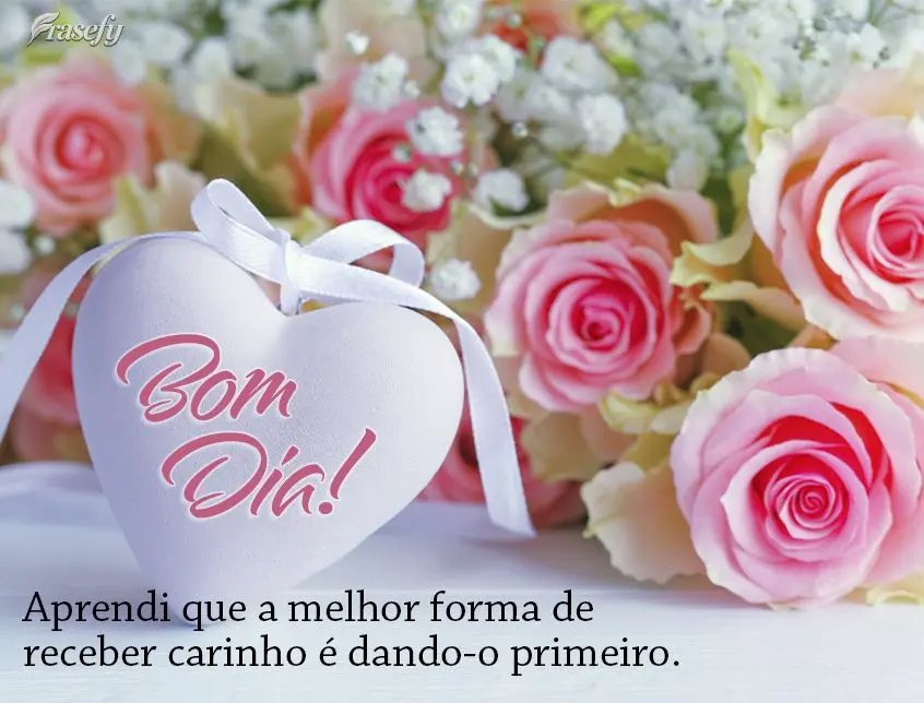 Aprendi que a melhor forma de receber carinho é dando-o primeiro. Bom dia!