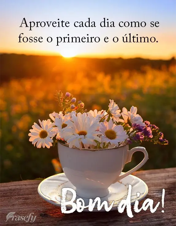 Aproveite cada dia como se fosse o primeiro e o último. Bom dia!