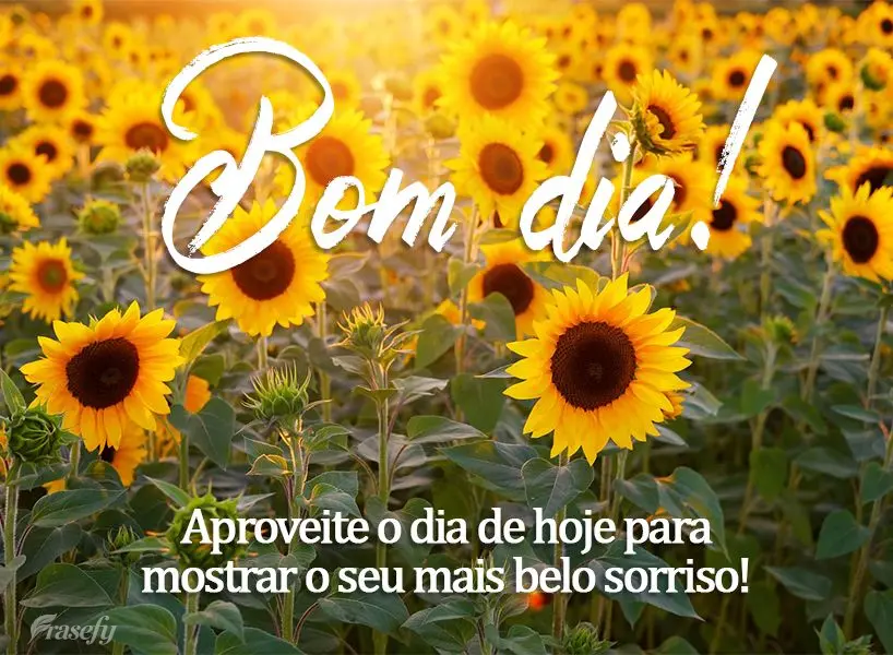 Aproveite o dia de hoje para mostrar o seu mais belo sorriso! Bom dia! 