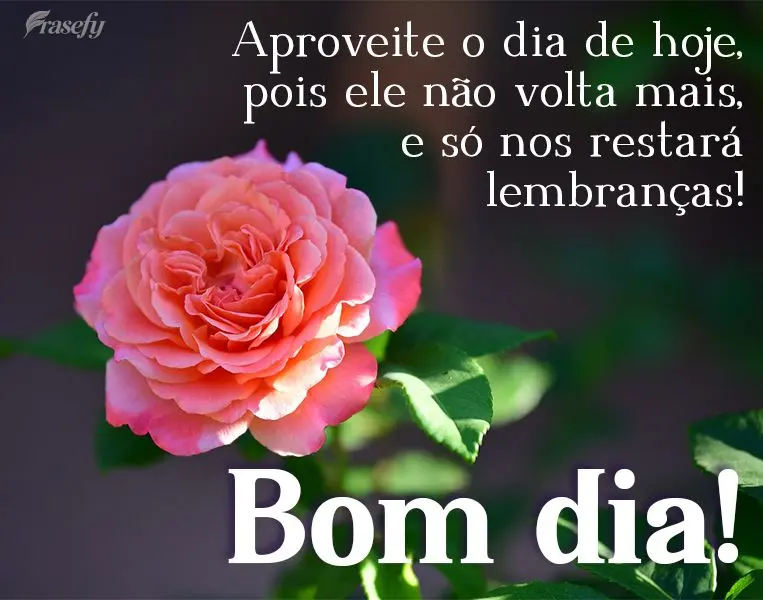 Aproveite o dia de hoje, pois ele não volta mais, e só nos restará lembranças! Bom dia! 