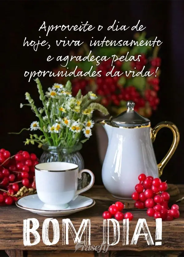 Aproveite o dia de hoje, viva intensamente e agradeça pelas oportunidades da vida! Bom dia!