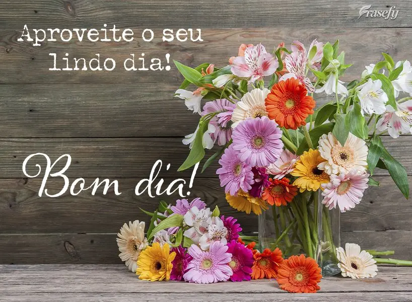 Aproveite o seu lindo dia!  Bom dia!