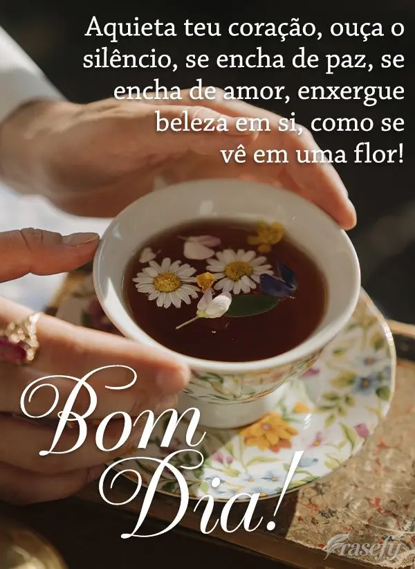 Aquieta teu coração, ouça o silêncio, se encha de paz, se encha de amor, enxergue beleza em si, como se vê em uma flor! Bom dia! 