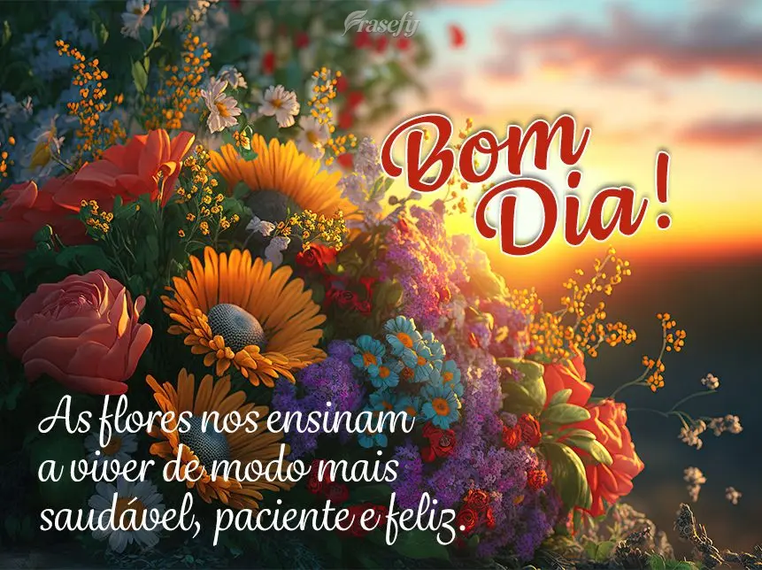 As flores nos ensinam a viver de modo mais saudável, paciente e feliz. Bom dia!