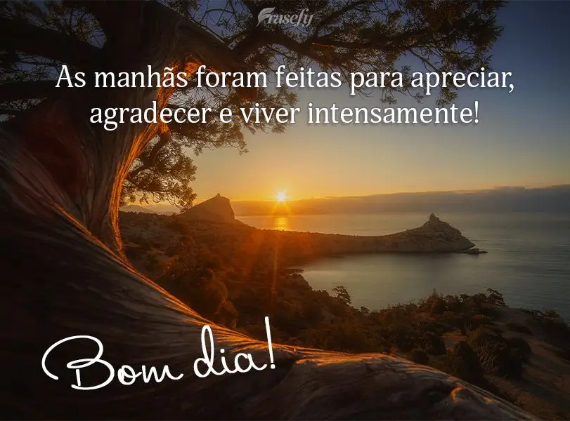 As manhãs foram feitas para apreciar, agradecer e viver intensamente! Bom dia!