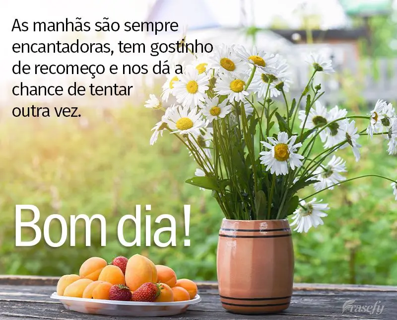 As manhãs são sempre encantadoras, tem gostinho de recomeço e nos dá a chance de tentar outra vez. Bom dia!