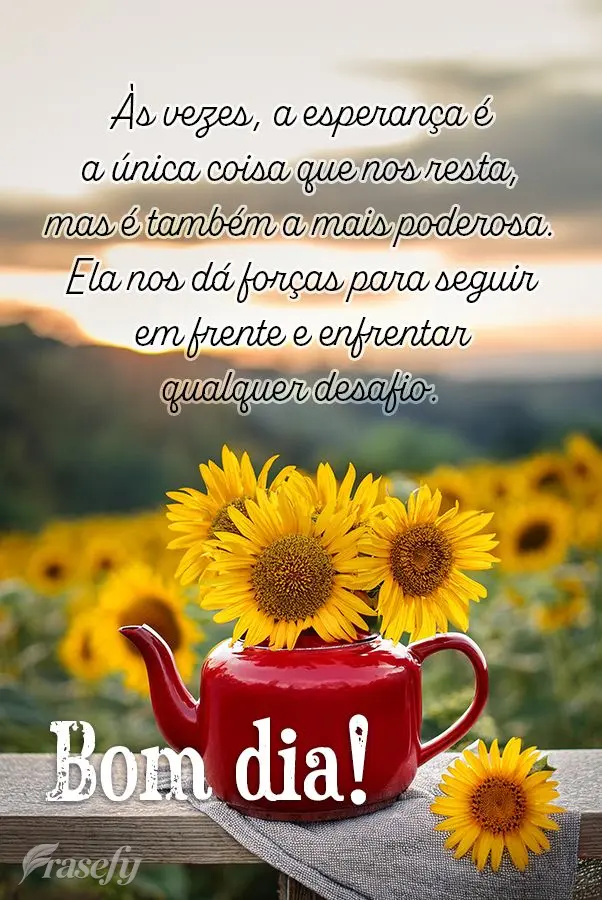 Às vezes, a esperança é a única coisa que nos resta, mas é também a mais poderosa. Ela nos dá forças para seguir em frente e enfrentar qualquer d...
