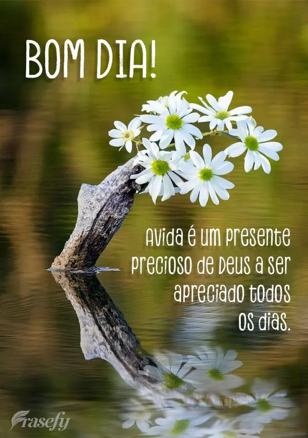 Avida é um presente precioso de Deus a ser apreciado todos os dias. Bom dia!